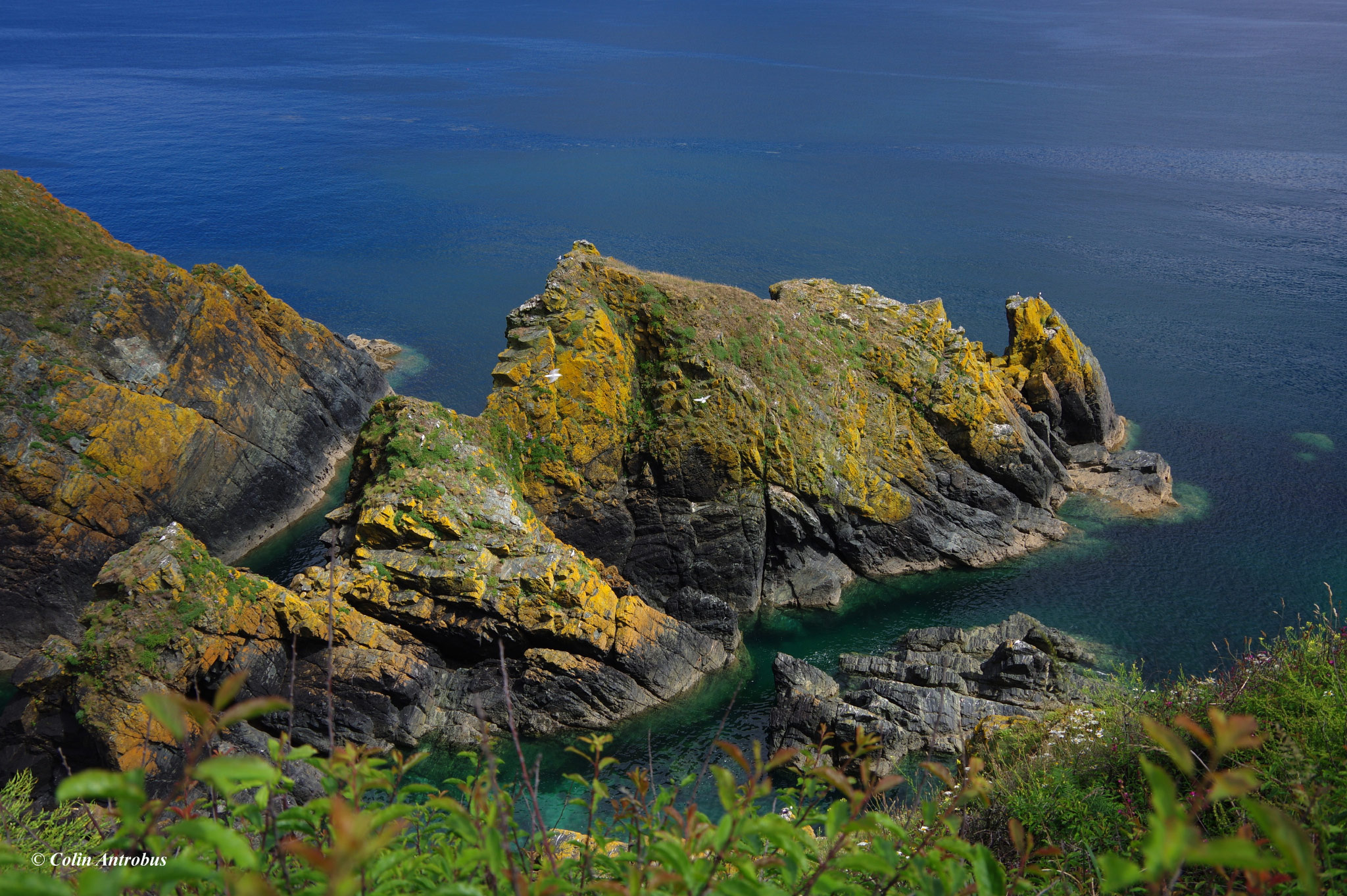 Cadgwith
